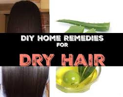 Milk is a little bit tricky to apply on hair because it's liquid. Diy Home Remedies For Dry Hair Overnight Dry Hair Treatments