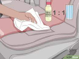 But a big problem with a vinegar hair rinse is that it tends to leave behind its pungent smell. How To Remove Odors From Your Car 12 Steps With Pictures