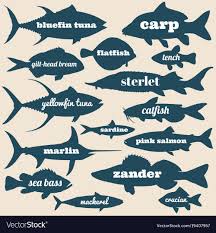 Ocean Fish Silhouettes With Names Isolated Vector Image Fish Silhouette Fish Vector Fish Illustration