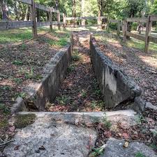 Image result for dip vat