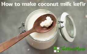 Coconut Milk Kefir Recipe Wellness Mama Sauces Marinades Fermented Things Drinks Butters Kefir Recipes Water Kefir Probiotic Drinks