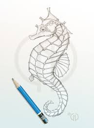 I Tried It Kmc Seahorse Drawing Seahorse Art Sea Drawing