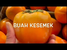 Kamu tentu tahu khasiat daun sirih untuk lelaki. Buah Kesemek Cara Menyantap Buah Kesemek How To Prepare Eat Persimmons Ii Clk Youtube