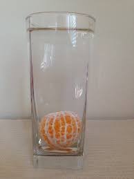 orange float or sink? science 4