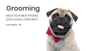 With over 900 hospitals around the country, we're. Welcome To Angel Animal Hospital Farmington Hills Veterinarians