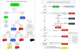Image result for JumpSTART Triage