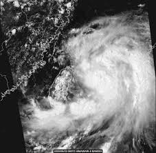 Find gifs with the latest and newest hashtags! Strong Typhoon Bavi Hits China Blue Alert Issued Refer China
