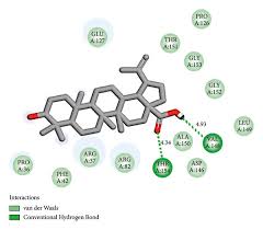 Image result for Urera gravenreuthii