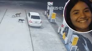 Tópico: Santa Isabel