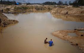 Maybe you would like to learn more about one of these? Gold Mining In Venezuela A Perfect Storm Of Illegality Deforestation And Mafias