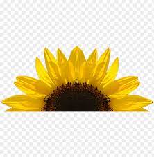 Free Free 109 Clipart Sunflower Png Transparent SVG PNG EPS DXF File