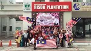 Keresa plantations sdn bhd is a local bumiputra company with 22 years of experience in oil palm plantation. Risda Plantations Sdn Bhd Youtube