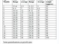Puppy Weight Calculator Online Charts Collection