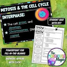 Mitosis And The Cell Cycle Doodle Notes Science Doodle Notes Tpt