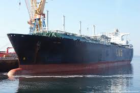 Image result for Galeomma