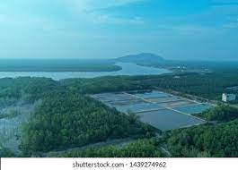 A brief description of the manhwa yong heng zhi zun: Muara Sungai In English Jet Skaa