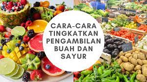 Berbeda dengan pak bejo, pak arso melumat buah dada yang disodorkan langsung oleh wanita itu. Banyak Banyak Buah Buah Apa Yang Kita Takut Makan Mengenal Tikus Got Si Tukang Makan Yang Punya Banyak Skill Buah Apa Yang Tidak Pernah Tenggelam