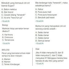 We did not find results for: Kumpulan Meme Lucu Tentang Ujian Nasional Semua Halaman Cewekbanget