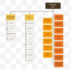 Organizational Structure Organizational Chart Business Png