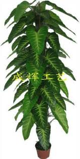 Do you want to create something with flowers but don't want them to die in a couple of days? Artificial Plants Taro Big Ww 401 Decorative Artificial Plant Fake Plant à¤†à¤° à¤Ÿ à¤« à¤¶ à¤¯à¤² à¤ª à¤§ à¤• à¤¤ à¤° à¤® à¤ª à¤§ à¤†à¤° à¤Ÿ à¤« à¤¶ à¤¯à¤² à¤ª à¤² à¤Ÿ In Porvorim Goa International Trading Company Id 9966121162