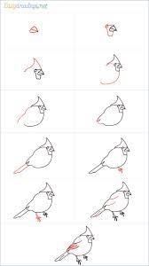 How To Draw A Cardinal Bird Step By Step - 11 Easy Phase Video In 2021 Drawing Birds Easy Christmas Paintings On Canvas Bird Drawings