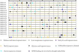 Click these words to find out how many points they are worth, their definitions, and. Overexpression Of Mdiaa9 Confers High Tolerance To Osmotic Stress In Transgenic Tobacco Peerj