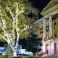 Annual Holiday Lighting Ceremony of Georgetown’s Historic Town Square