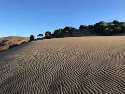 The sand dunes are 3 km above the village of katalakkos, near gomati beach. Lemnos Sand Dunes Lemnos Greece Atlas Obscura