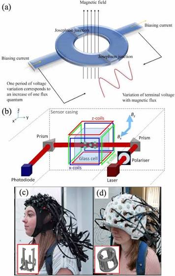 Perspective: magnetic quantum sensors for biomedical applications - IOPscience