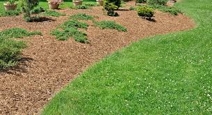 Hire the best lawn care services in puyallup, wa on homeadvisor. Garden Maintenance Services Saanich Peninsula