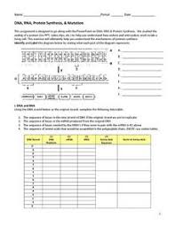 Always affect protein structure and function d. Dna And Rna Lesson Plans Worksheets Lesson Planet