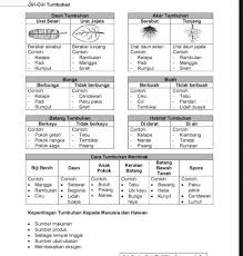 Memandang bunga ini mengingatkan kita pada suasana pagi yang segar. Kuiz Pendidikan Sains Sosial Dan Alam Sekitar Tumbuhan Proprofs Quiz