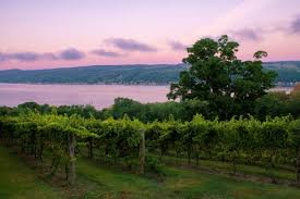 Get reviews, hours, directions, coupons and more for willamette wine country rv park at 16205 se kreder rd, dayton, or 97114. Best Us Food Wine Tours In An Rv Real Food Traveler