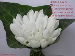 Descopera ce am pregatit pentru 1 ghiocei care nu se ofilesc niciodata martisor quilling din hartie pe suport de carton dimensiuni: Martisoare Si Ghiocei De 1 Martie Bionce