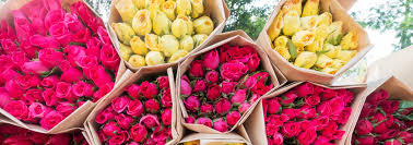 Fri, aug 20, 2021, 4:00pm edt With Cloud 1 800 Flowers Com Is No Late Bloomer In Online Retail