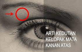 Apabila seseorang mengalami kedutan pada kelopak mata kanan atas, konon akan mendapatkan keberuntungan besar dari bisnis yang sedang anda jalani saat ini. 5 Kelopak Mata Kanan Atas Menurut Primbon Dokumentasi Liestanti Anexia