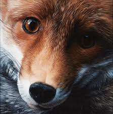 Christophe Drochon Ne En 1963 Le Petit Prince Acrylique Sur Toile Signee En Bas A Gauche Contresignee Et Titree Peintre Animalier Artiste Peintre Peintre