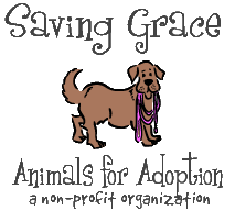 Start your adoption journey online. Saving Grace Animals For Adoption