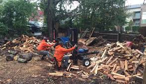 Stacking firewood is not only a necessary part of heating your home with wood but it can also be a great outlet for artistic expression. Firewood Delivery Services Georgia Trees Of Georgia
