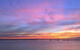 Image result for Faroa duvigneaud