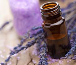 Essential oils are oils typically extracted from plants. Aromatherapy Relaxation Or Torment For Pets