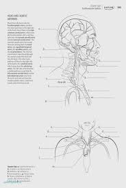 Human Anatomy Drawing Book Pdf Best Of Coloring Pages Anatomy Coloring Book 4th Edition Unikitty In 2020 Anatomy Coloring Book Drawing Book Pdf Coloring Books