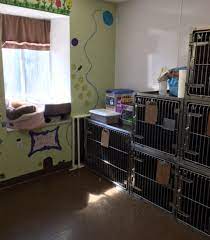 Friendly doggy day care, training, boarding & grooming available. Boarding Brandon Veterinarian Dogwood Animal Hospital Boarding