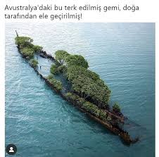 Mavi Adli Kullanicinin A Panosundaki Pin Doga Avustralya Manzara