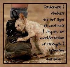 Tenderness Kindness Are Not Signs Of Weakness Despair But Manifestations Of Strength Resolu Animal Love Quotes Animal Quotes Inspirational Animal Quotes