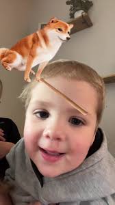 Hayley Schuchardt (@cooper_schuchardt)’s videos with Crunch