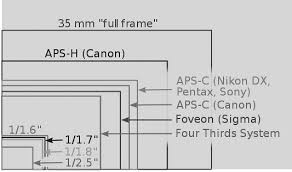 Making Sense Out Of Sensor Sizes Cardinal Photo