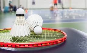 Amazon.com has been visited by 1m+ users in the past month Badminton Dgi Byen