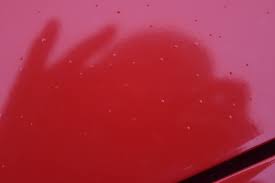 I have a old 59/60 mini that i bought about 5 years ago, the mini has had paint on both wings/doors (cellulose i think) before i bought it, in the last month hundreds out tiny bubbles/blisters have appeared on the passengers side in the area of the. Micro Bubbles In Paintwork Gtr Forum