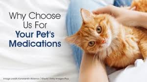 Fast delivery, great service and rated excellent by trustpilot. Why Choose Us For Your Pets Medications
